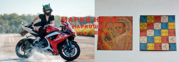 spice Бородино