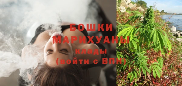 spice Бородино