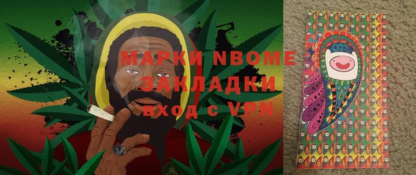 spice Бородино