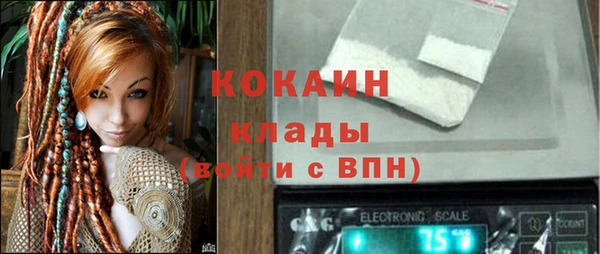 spice Бородино