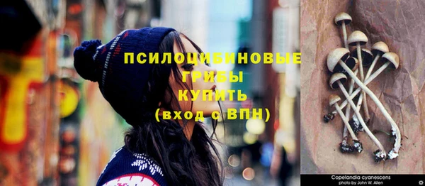 Альфа ПВП Верхний Тагил